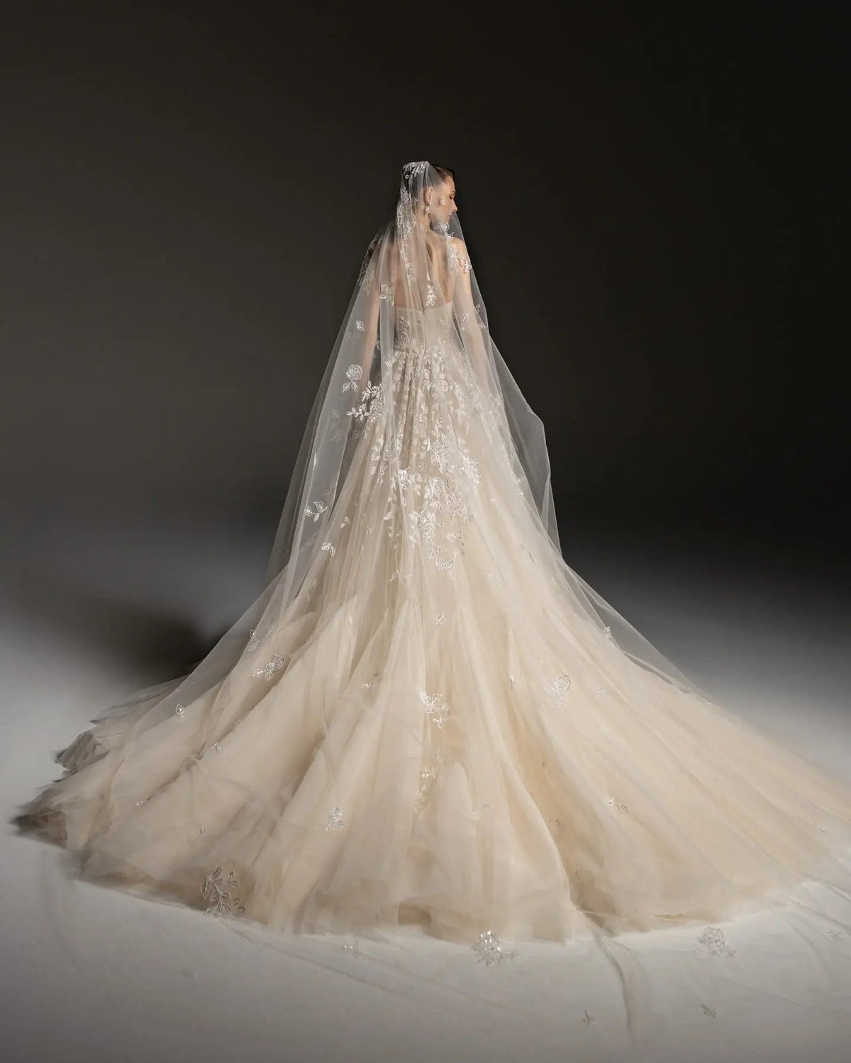 Romantic Champagne Strapless Floral Lace Tulle A-Line Wedding Dress with Veil SW664