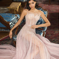 Luxury Black Feathers A-Line Evening Dresses SS401