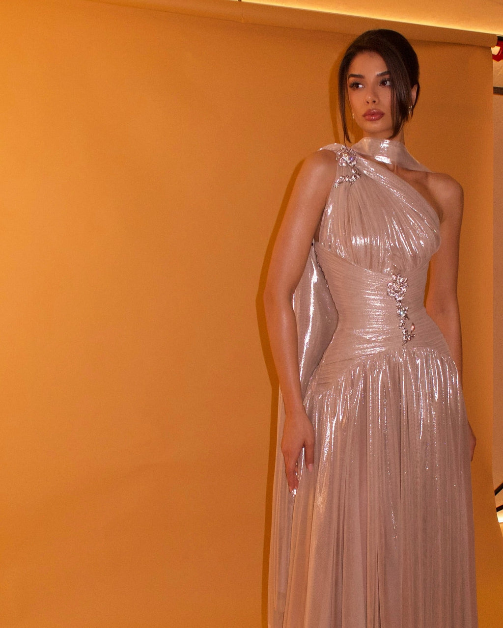 Pink One-Shoulder Sheer Waist-Fitted Elegant Evening Dress SF235