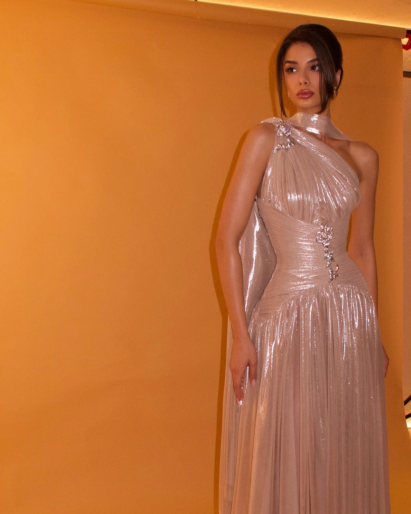 Pink One-Shoulder Sheer Waist-Fitted Elegant Evening Dress SF235